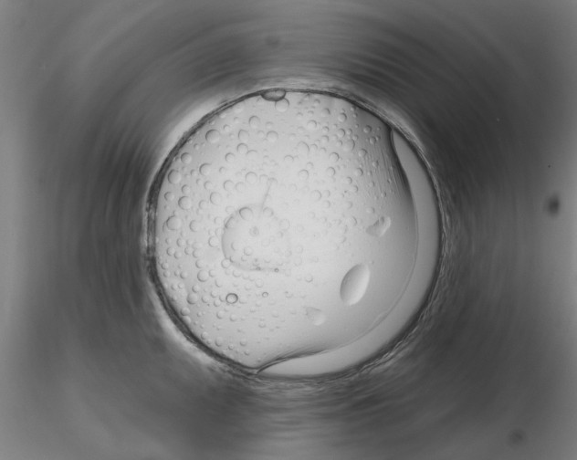 X0000116161095201001041109