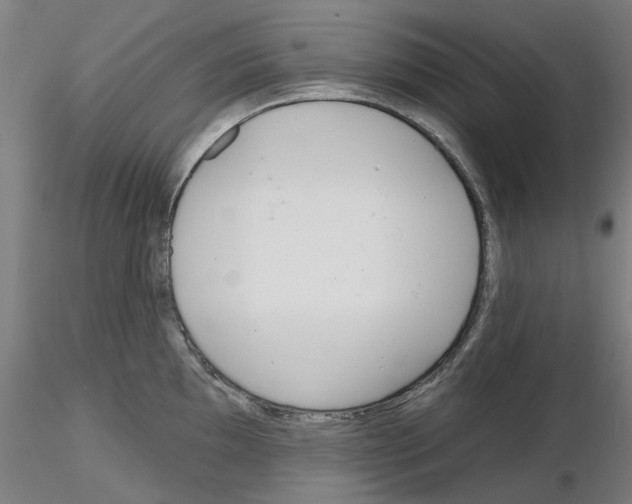 X0000116161097201001041109