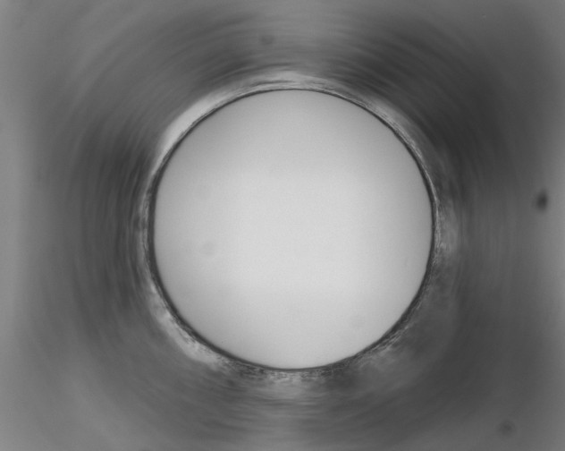 X0000116161098201001041109