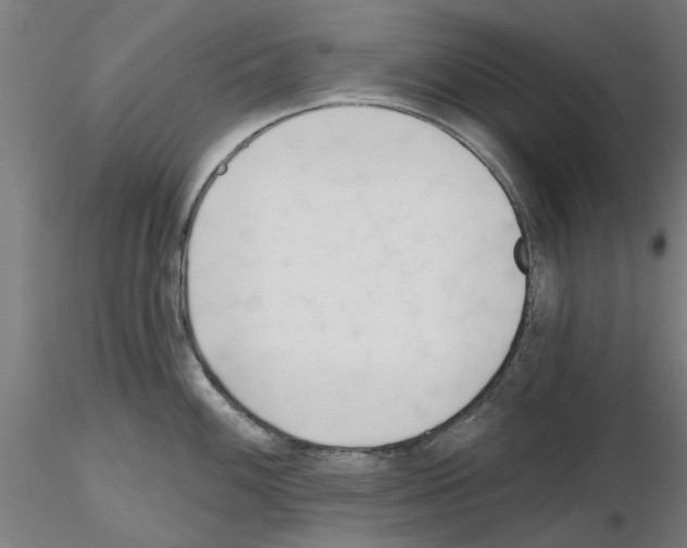 X0000116161100201001041109