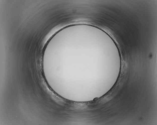 X0000116161101201001041109
