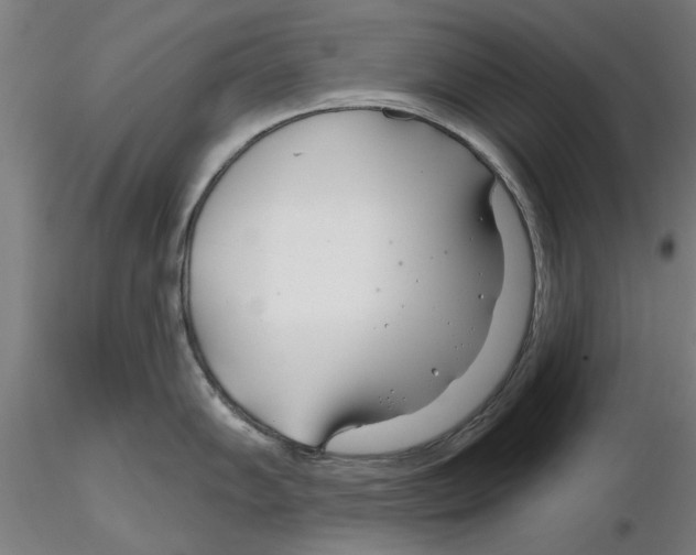 X0000116161102201001041109
