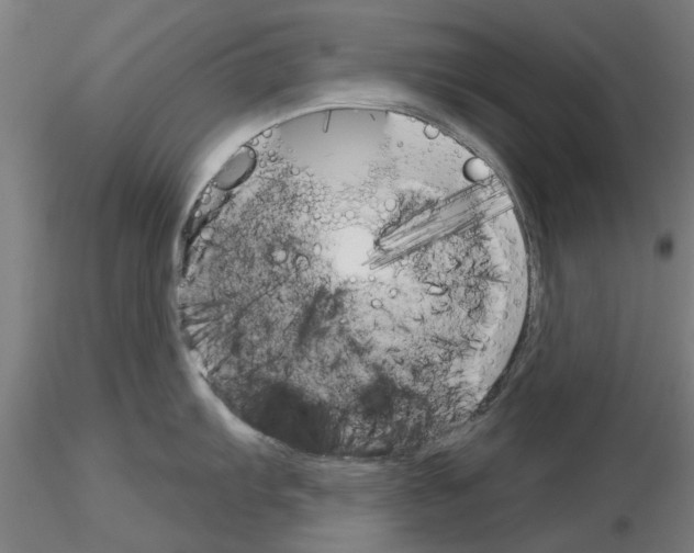X0000116161103201001041109