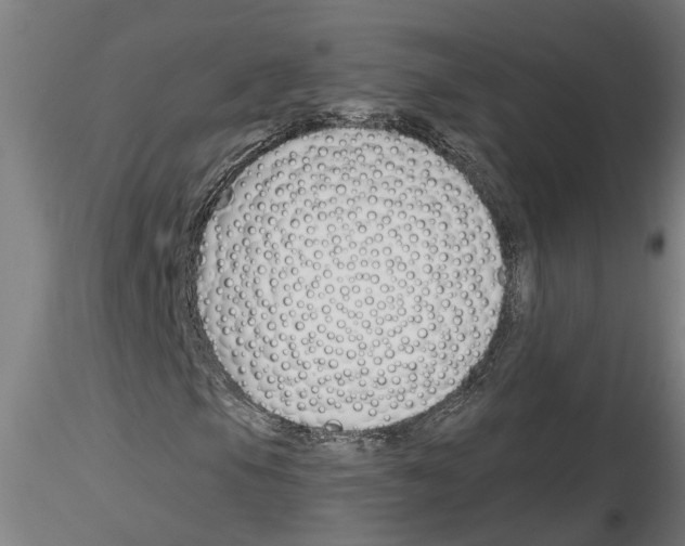 X0000116161105201001041108