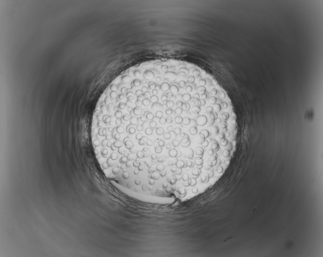 X0000116161106201001041108