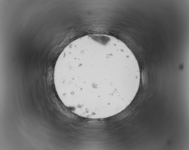 X0000116161107201001041108