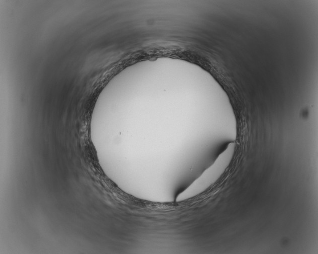 X0000116161109201001041108