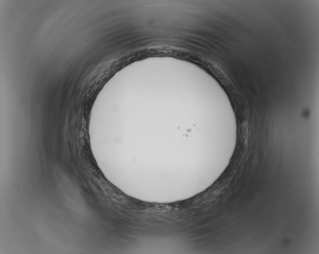 X0000116161111201001041108