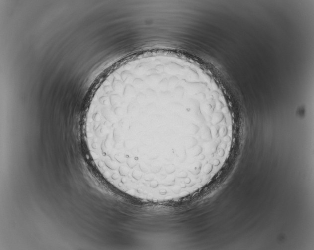 X0000116161113201001041108