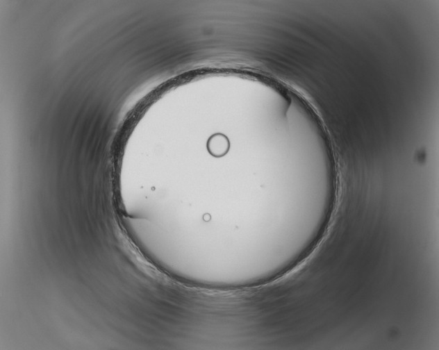 X0000116161114201001041108