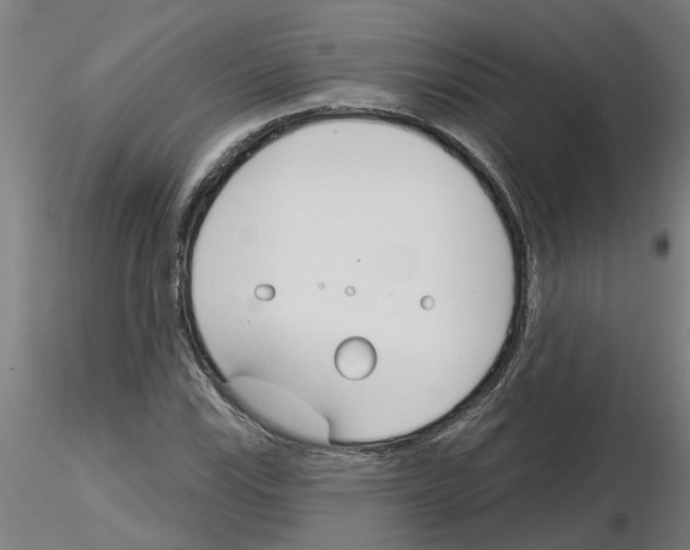 X0000116161115201001041108
