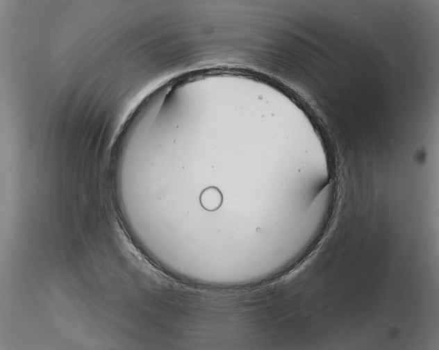 X0000116161118201001041108