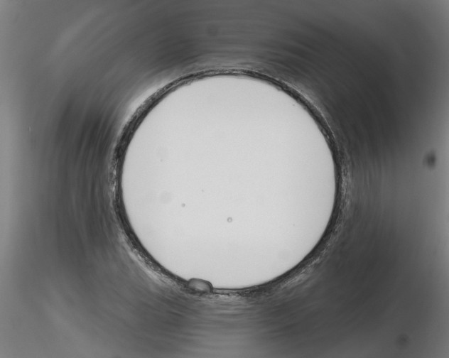 X0000116161119201001041108