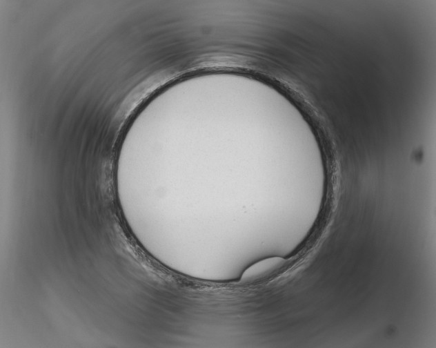 X0000116161121201001041108