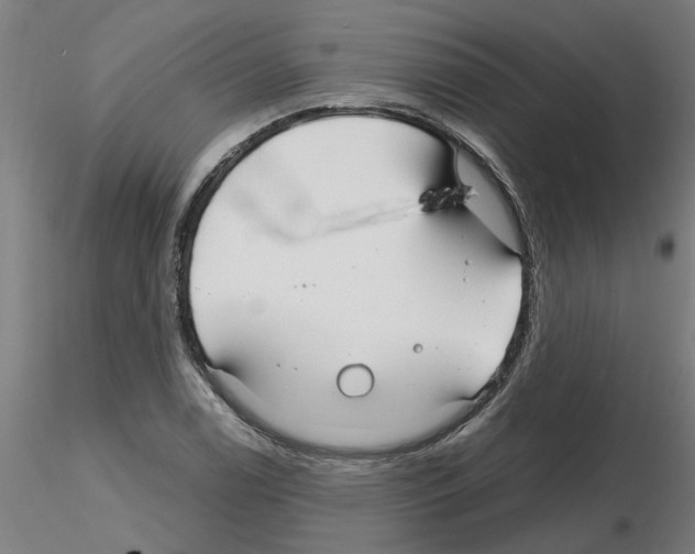 X0000116161122201001041108