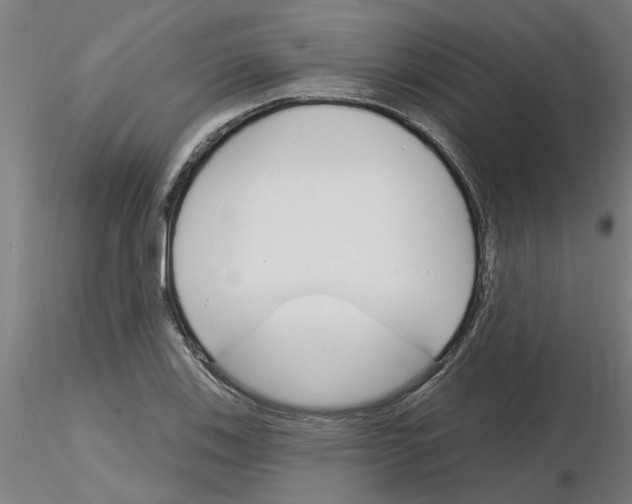 X0000116161123201001041108