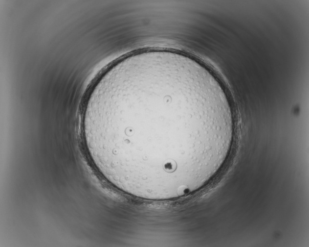 X0000116161125201001041108