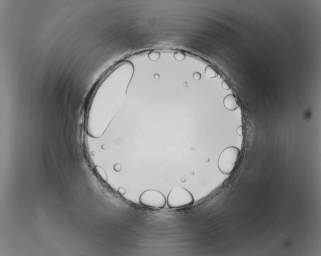 X0000116161126201001041108