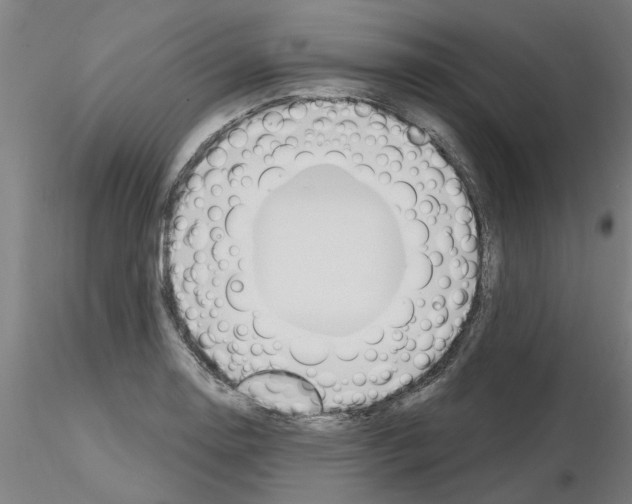 X0000116161130201001041109