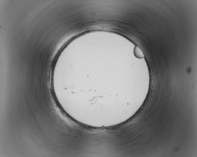 X0000116161131201001041109
