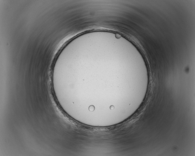 X0000116161133201001041109