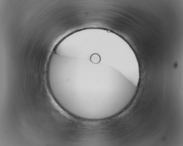 X0000116161134201001041109
