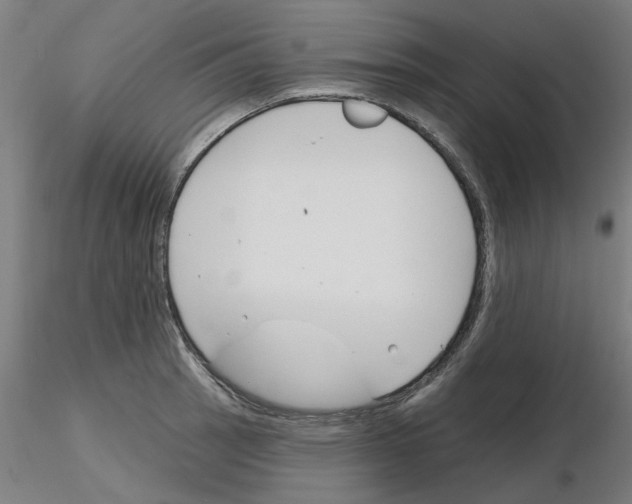 X0000116161137201001041109