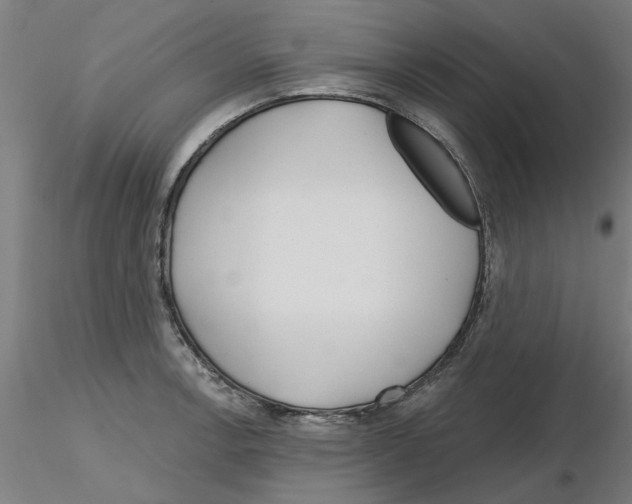 X0000116161138201001041109