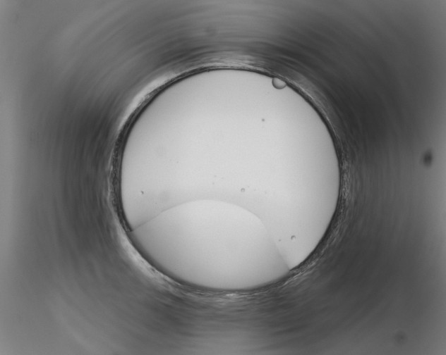 X0000116161139201001041109