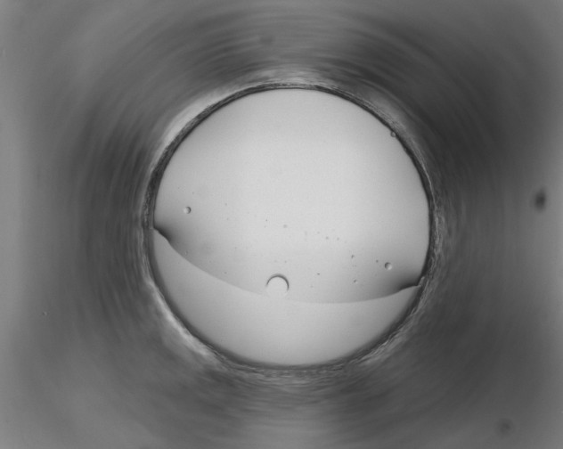 X0000116161141201001041109