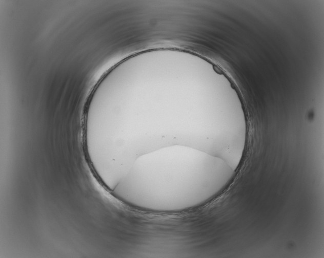 X0000116161143201001041109