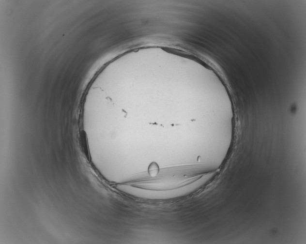 X0000116161146201001041109