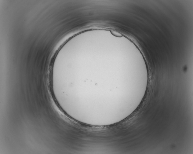 X0000116161147201001041109