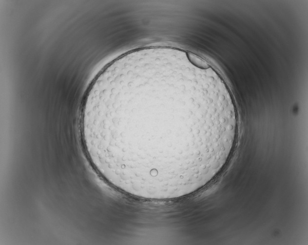 X0000116161149201001041109