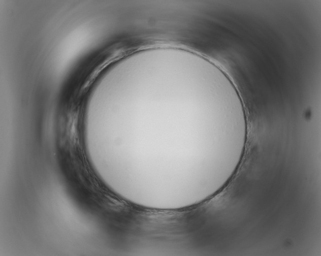 X0000116161150201001041109