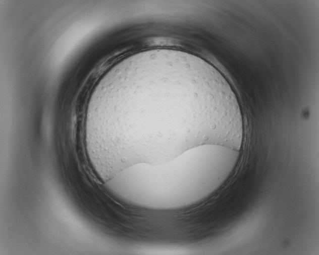 X0000116161151201001041109