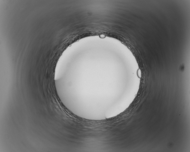 X0000116161153201001041108
