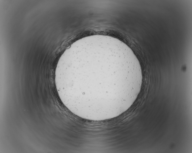 X0000116161156201001041108
