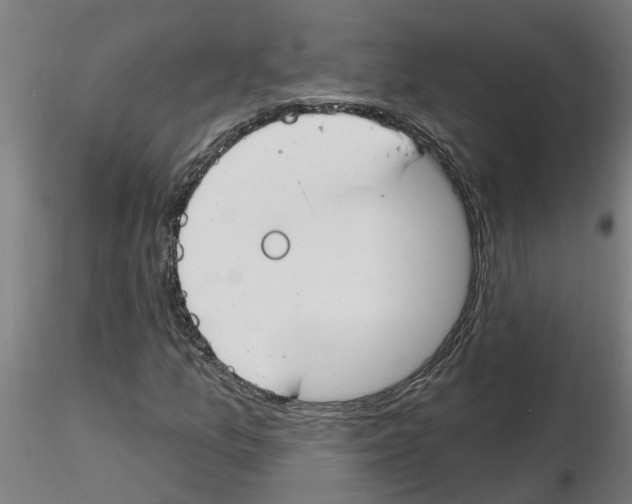 X0000116161157201001041108