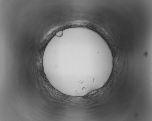 X0000116161158201001041108