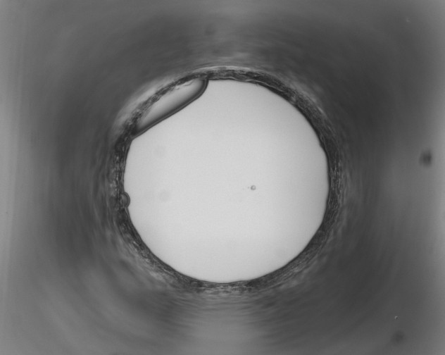 X0000116161159201001041108