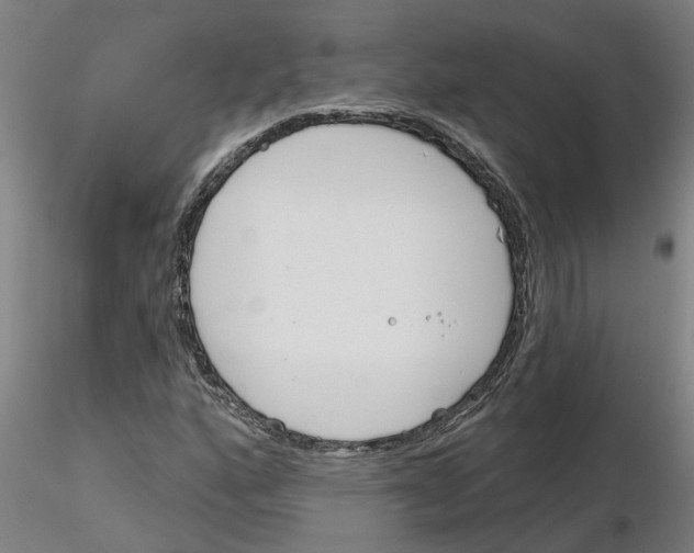 X0000116161160201001041108