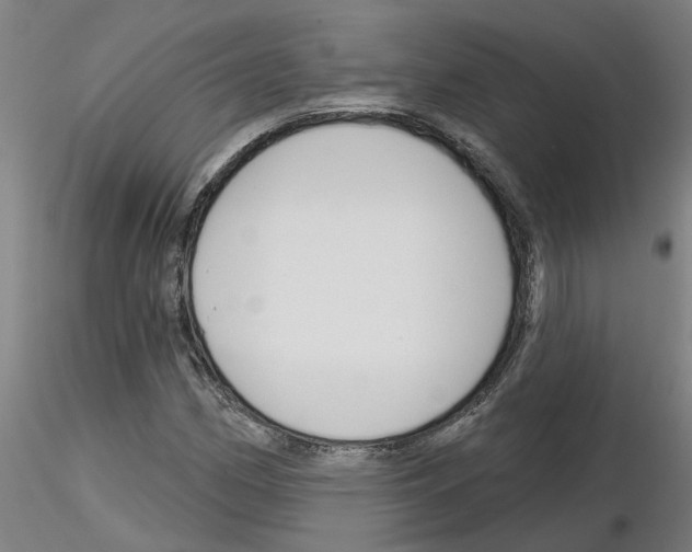 X0000116161162201001041108