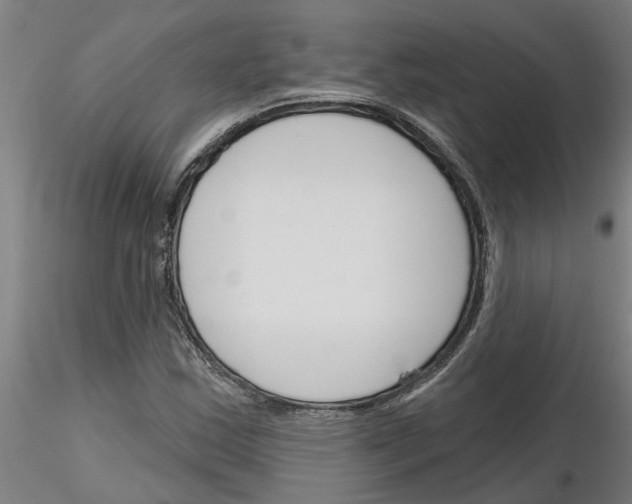 X0000116161163201001041108
