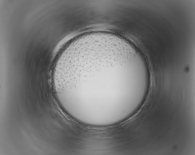 X0000116161164201001041108