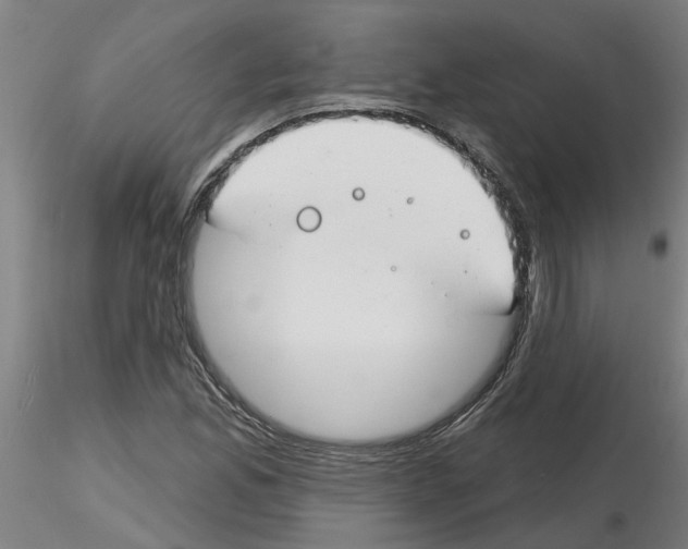 X0000116161165201001041108