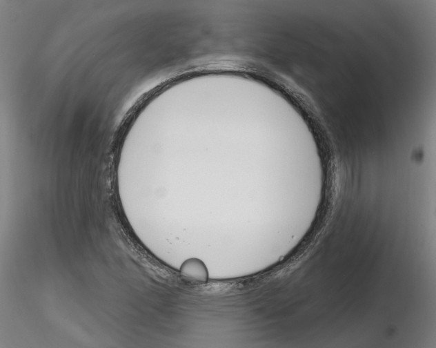 X0000116161166201001041108
