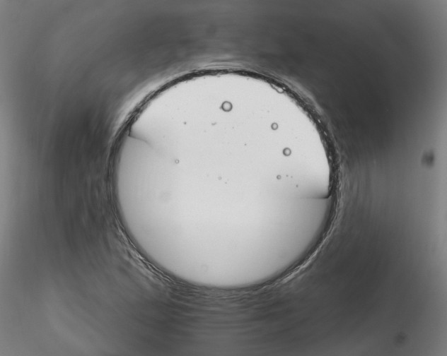 X0000116161167201001041108