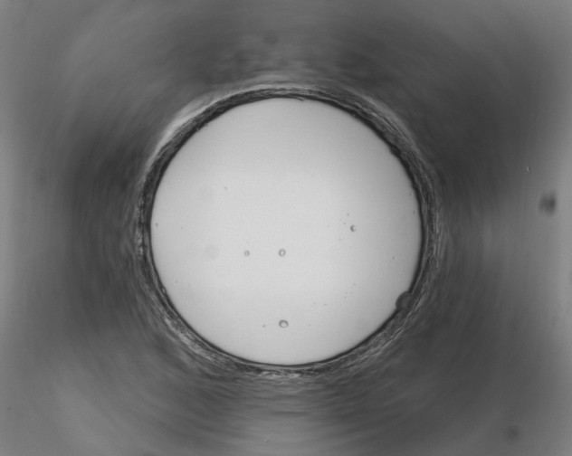 X0000116161168201001041108