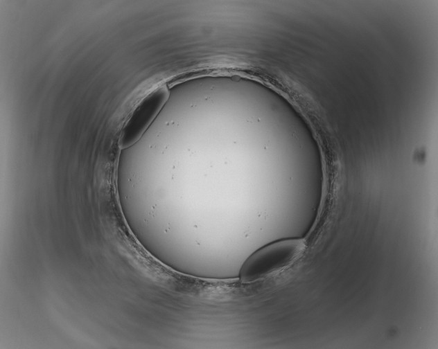 X0000116161169201001041108
